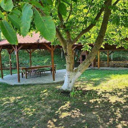 Salas U Bregu In Cheile Carasului Crasova Экстерьер фото